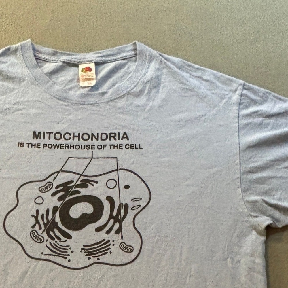 Fruit of the Loom Mens L Mitochondria Powerhouse of the Cell T-Shirt Blue